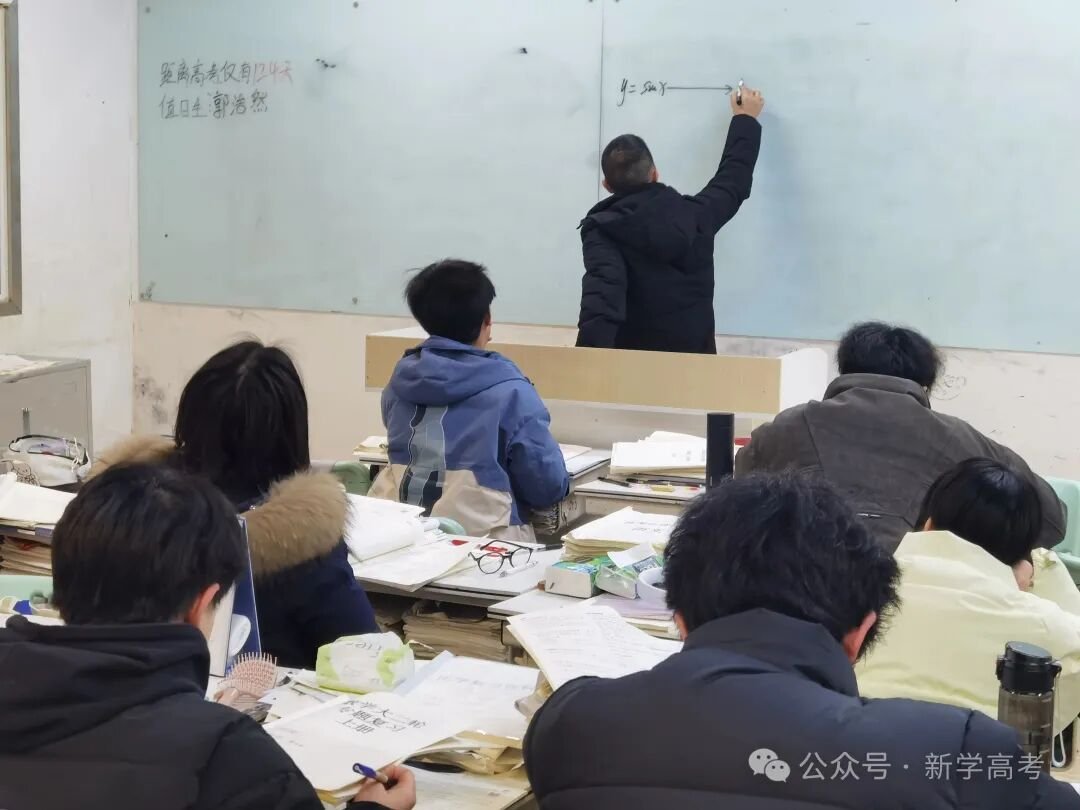 2025高考政策解读